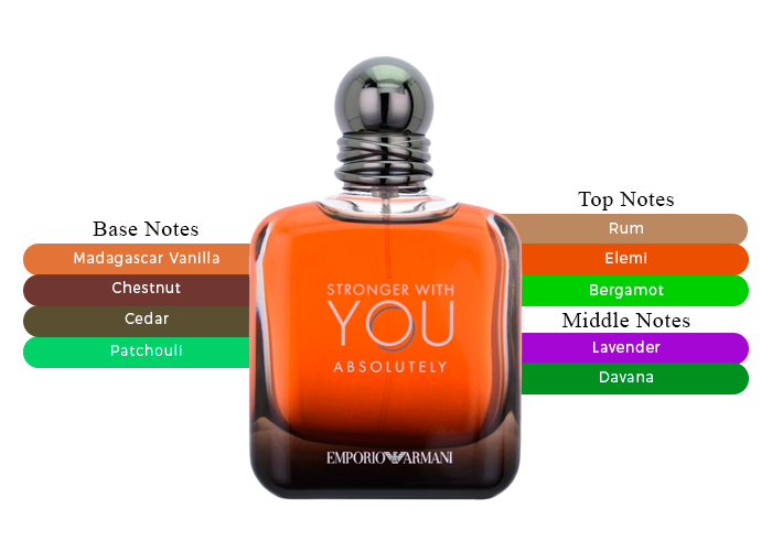 Armani Stronger With You Absolutely
