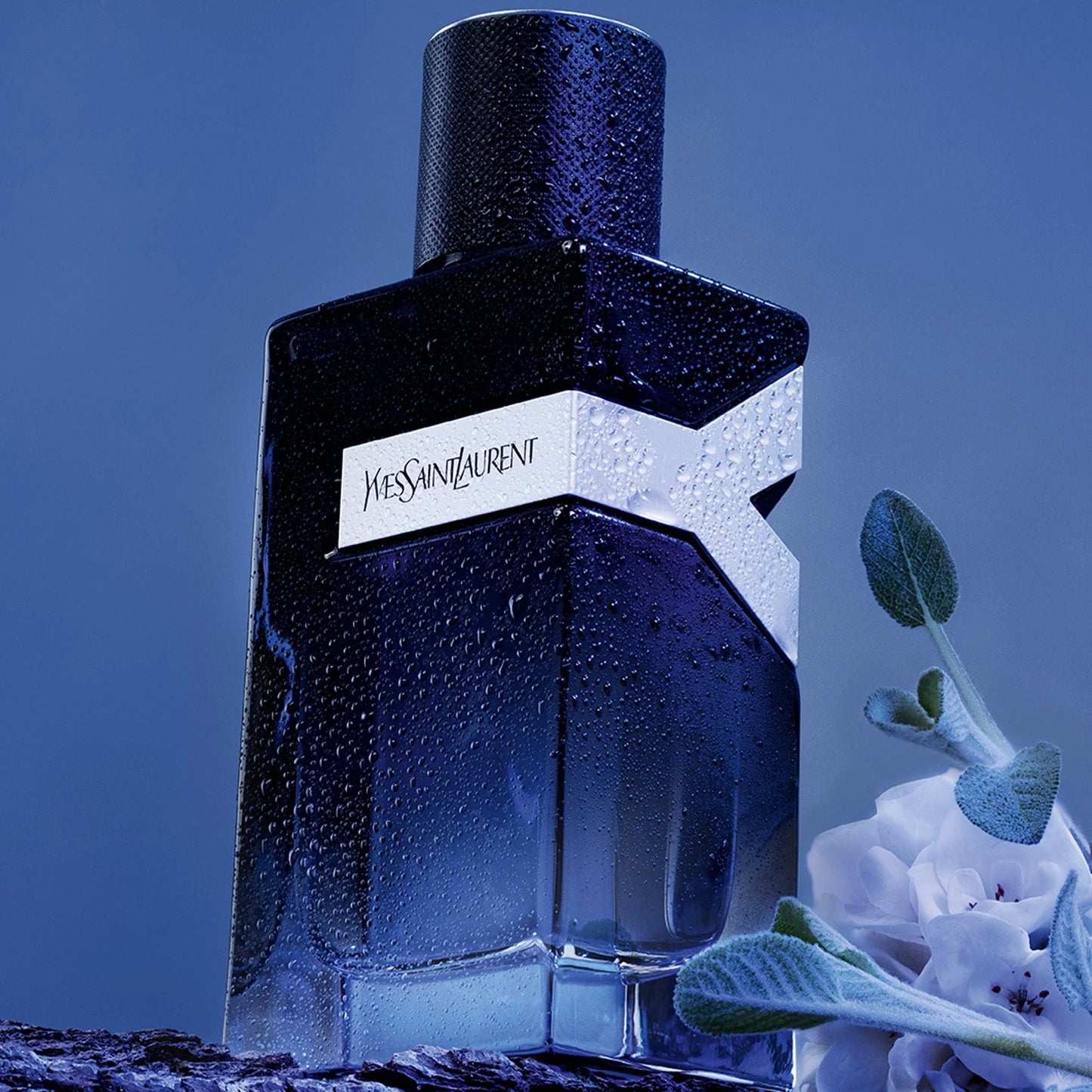 בושם בהשראת - Yves Saint Laurent Y EDP